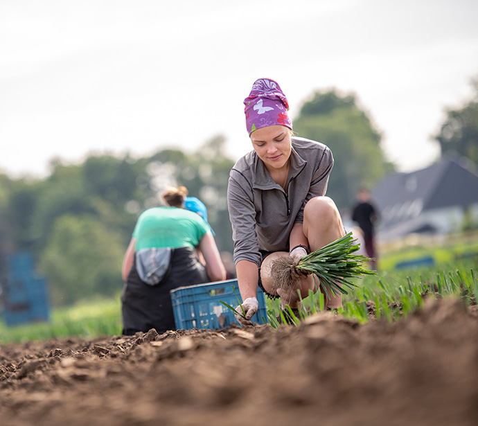 International migrant worker working 