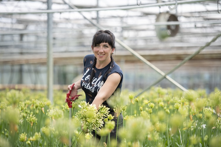 Internationaal medewerker in de kas